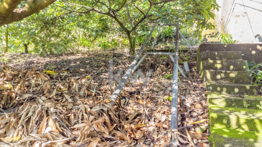 Terreno para Venda em São Roque do Faial Foto 14