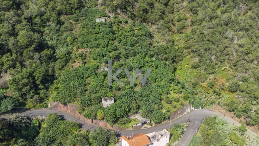 Terreno para Venda em São Roque do Faial Foto 13