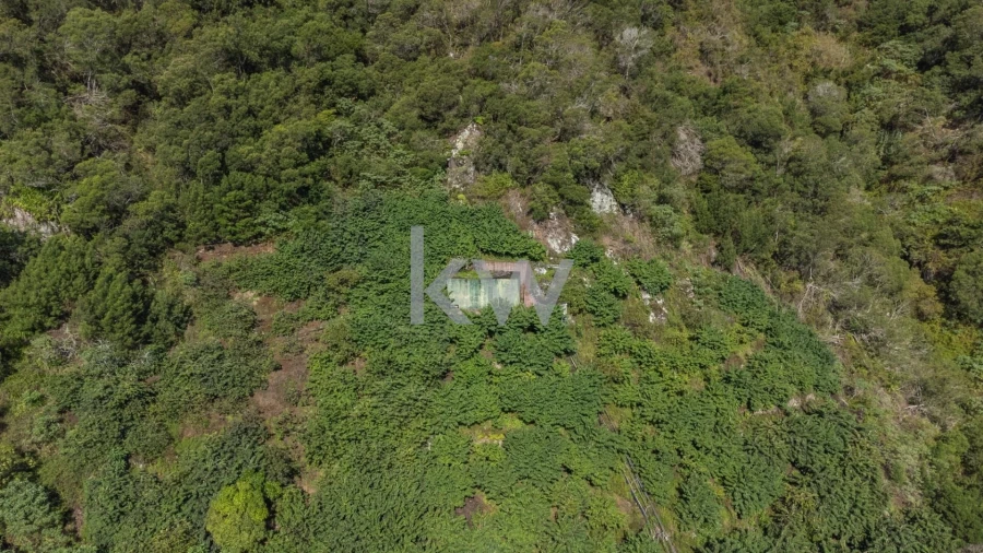 Terreno para Venda em São Roque do Faial Foto 12