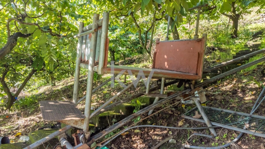 Terreno para Venda em São Roque do Faial Foto 15