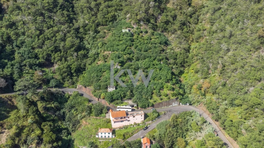Terreno para Venda em São Roque do Faial Foto 5