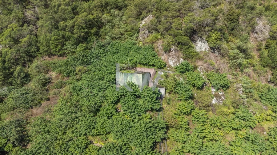 Terreno para Venda em São Roque do Faial Foto 9