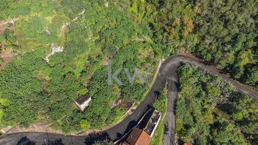 Terreno para Venda em São Roque do Faial Foto 7