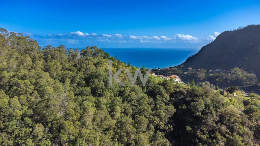 Terreno para Venda em São Roque do Faial Foto 8