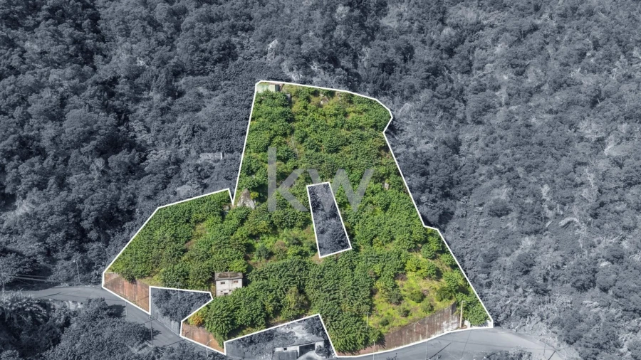 Terreno para Venda em São Roque do Faial Foto 2