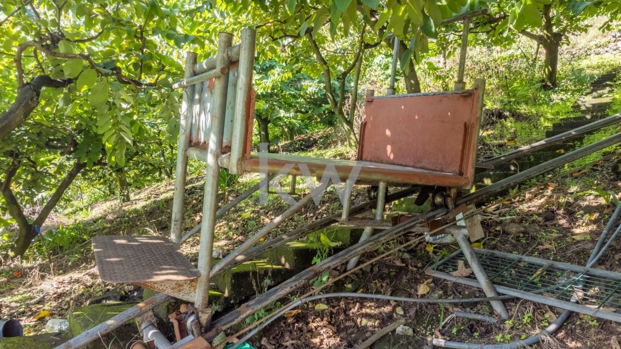 Terreno para Venda em São Roque do Faial Foto 15
