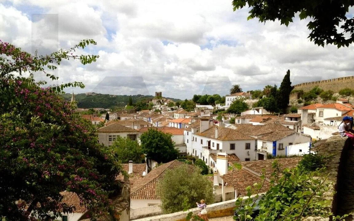 Terreno para Venda em Santa Maria, São Pedro e Sobral da Lagoa Foto 14