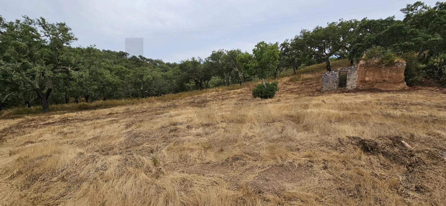 Quinta para Venda em Grândola e Santa Margarida da Serra Foto 15
