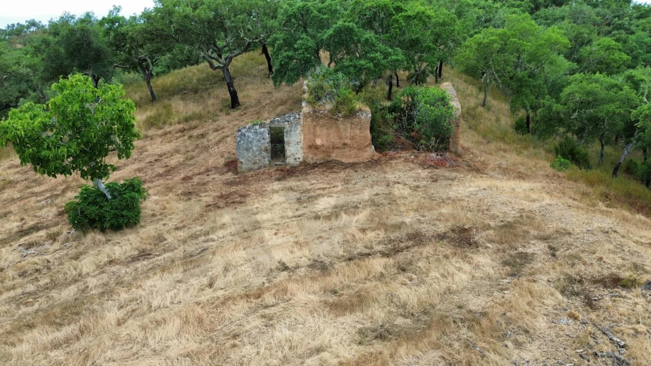 Quinta para Venda em Grândola e Santa Margarida da Serra Foto 5