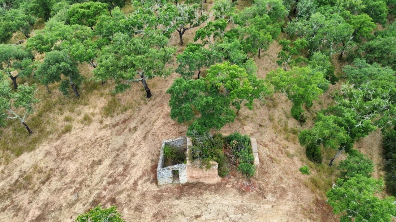 Quinta para Venda em Grândola e Santa Margarida da Serra Foto 6