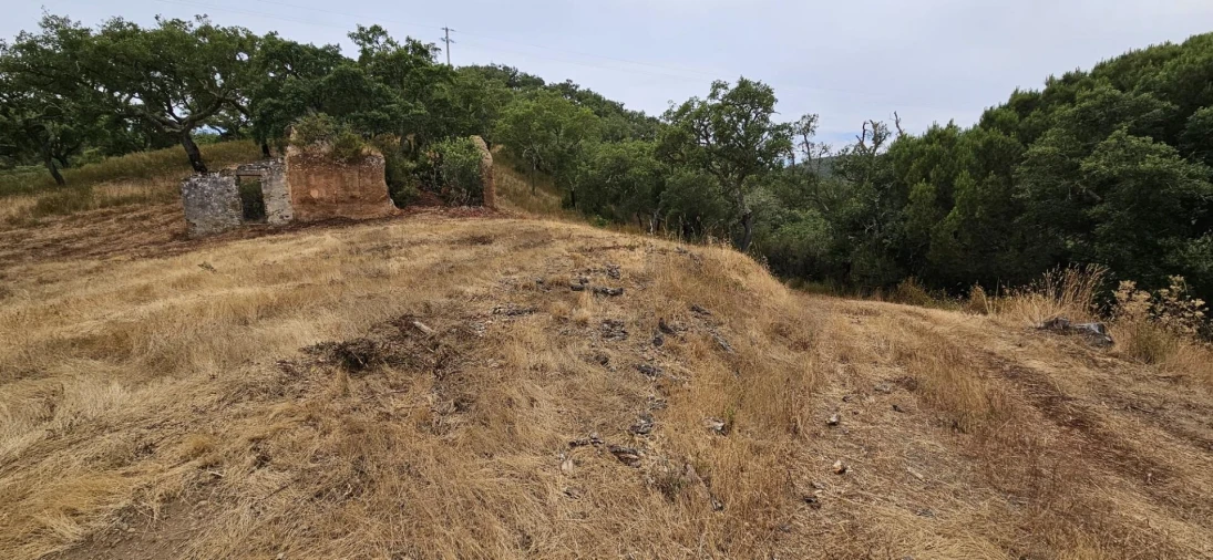 Quinta para Venda em Grândola e Santa Margarida da Serra Foto 14