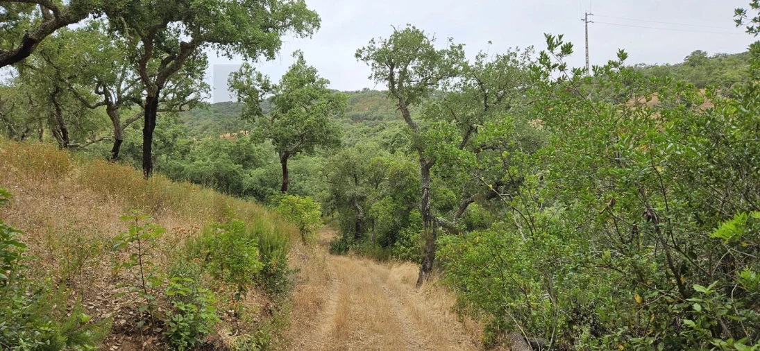 Quinta para Venda em Grândola e Santa Margarida da Serra Foto 7