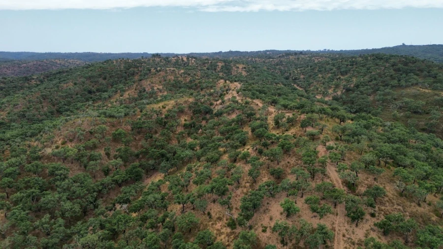 Quinta para Venda em Grândola e Santa Margarida da Serra Foto 3