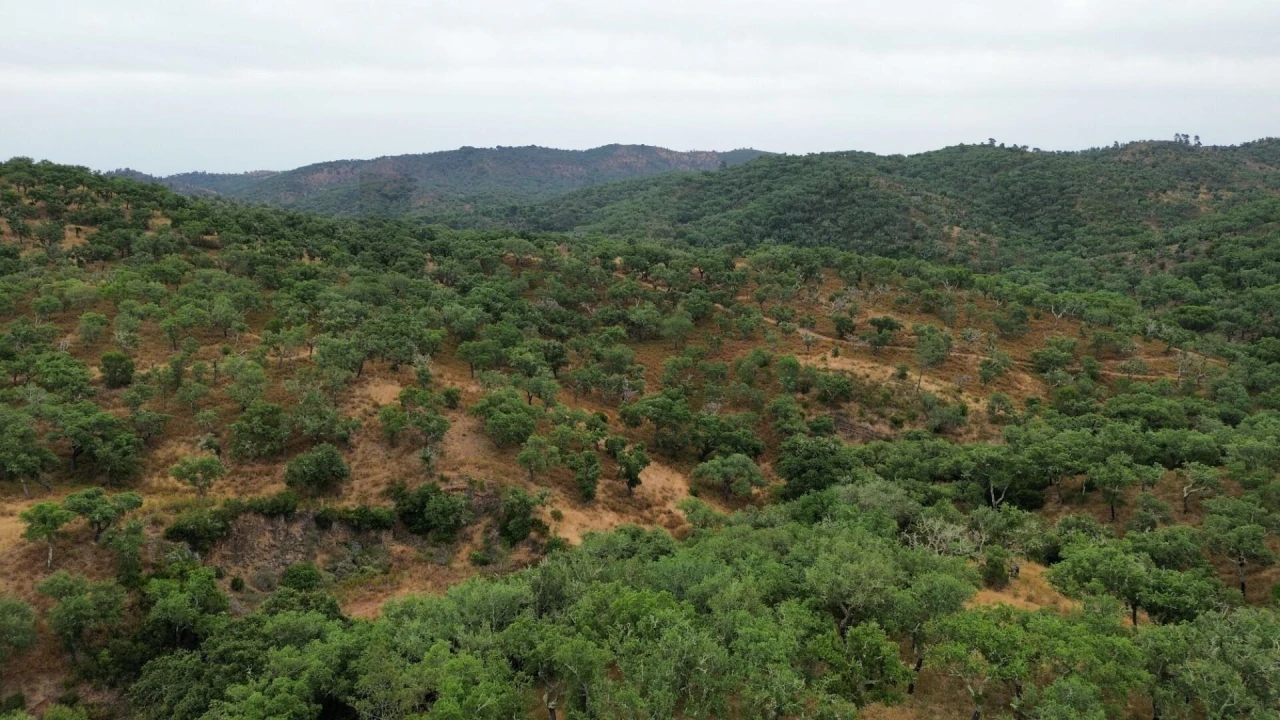 Quinta para Venda em Grândola e Santa Margarida da Serra Foto 1