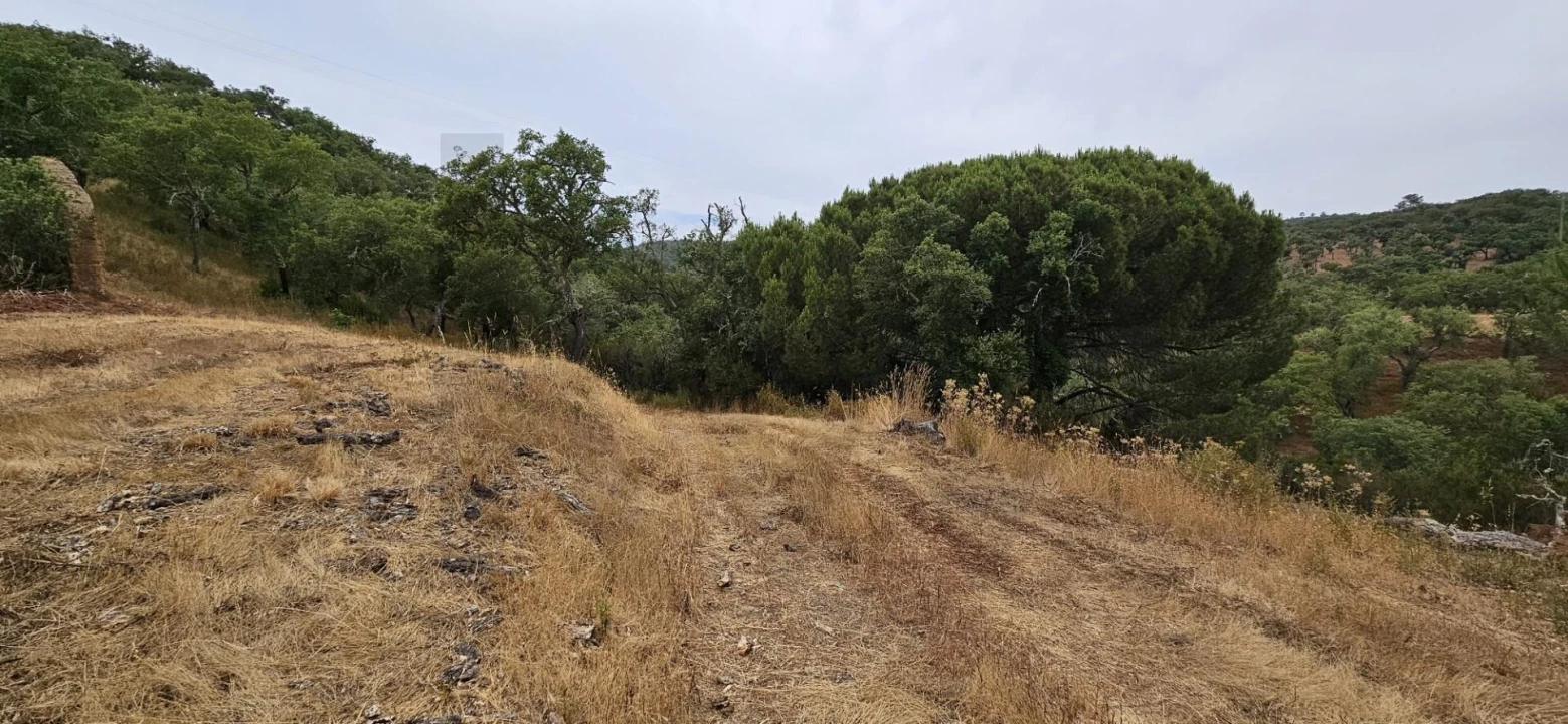 Quinta para Venda em Grândola e Santa Margarida da Serra Foto 11