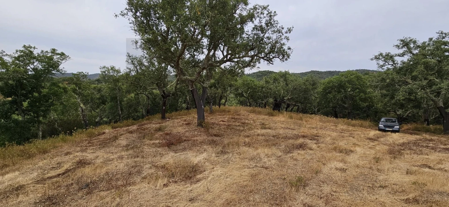 Quinta para Venda em Grândola e Santa Margarida da Serra Foto 12