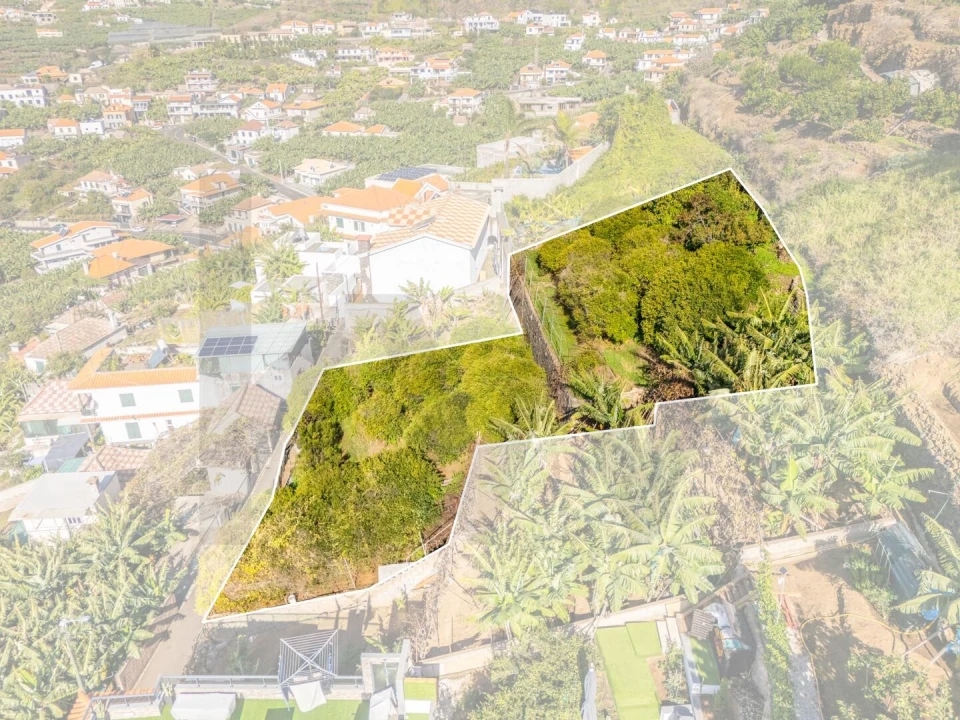 Terreno para Venda em Ponta do Sol Foto 3