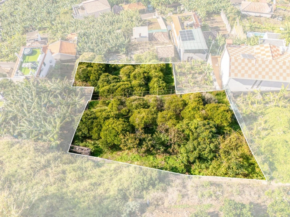 Terreno para Venda em Ponta do Sol Foto 5