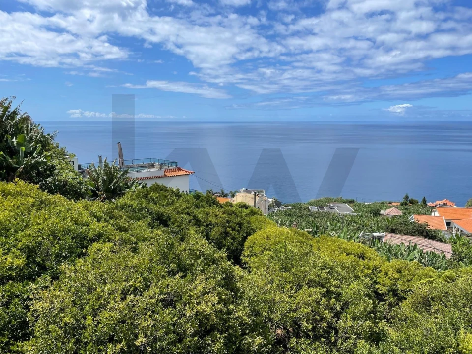 Terreno para Venda em Ponta do Sol Foto 17