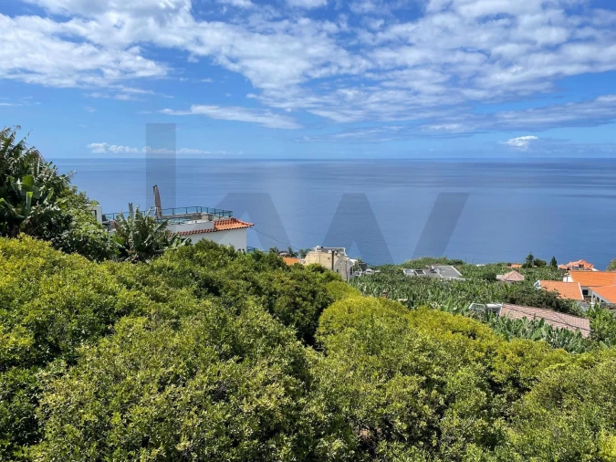 Terreno para Venda em Ponta do Sol Foto 17