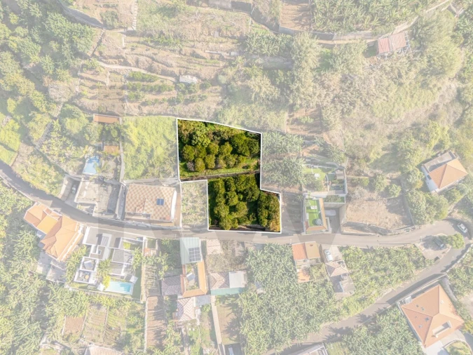 Terreno para Venda em Ponta do Sol Foto 13