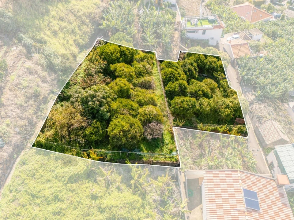 Terreno para Venda em Ponta do Sol Foto 4