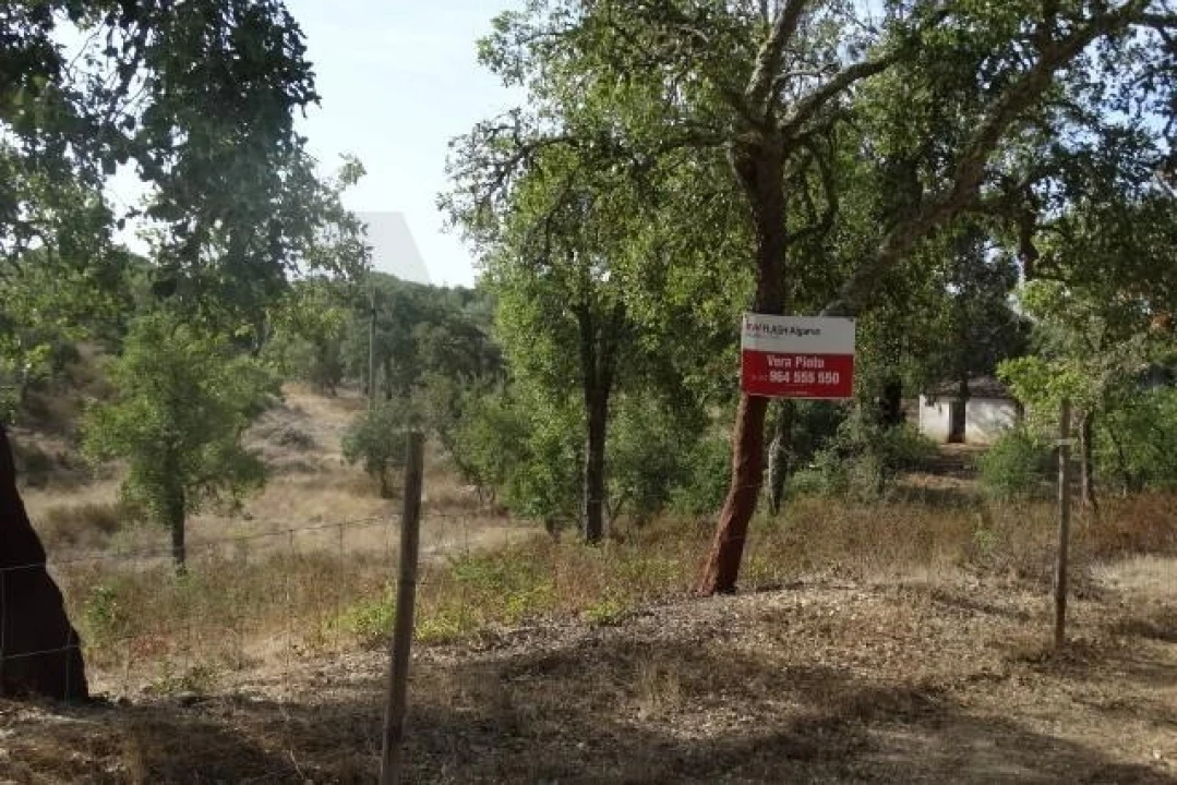 Terreno para Venda em Ourique Foto 15