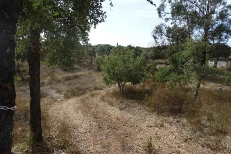 Terreno para Venda em Ourique Foto 16