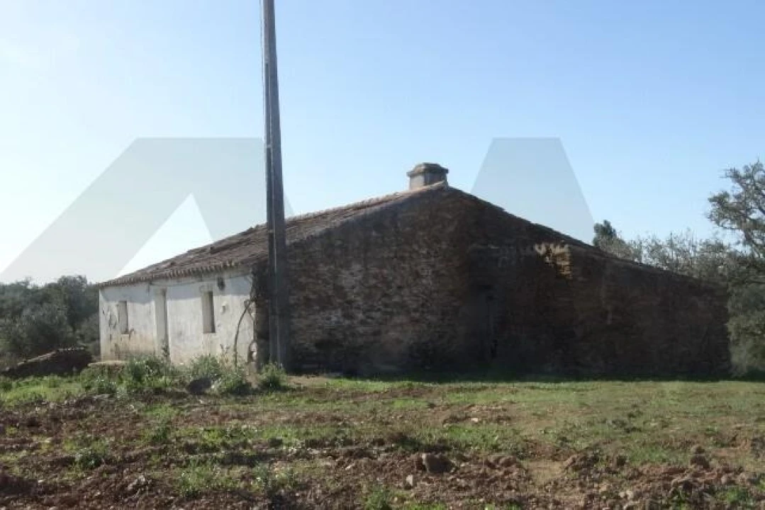 Terreno para Venda em Ourique Foto 3