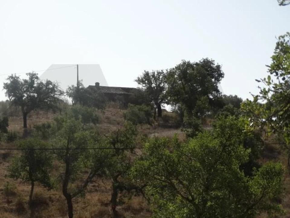 Terreno para Venda em Ourique Foto 5