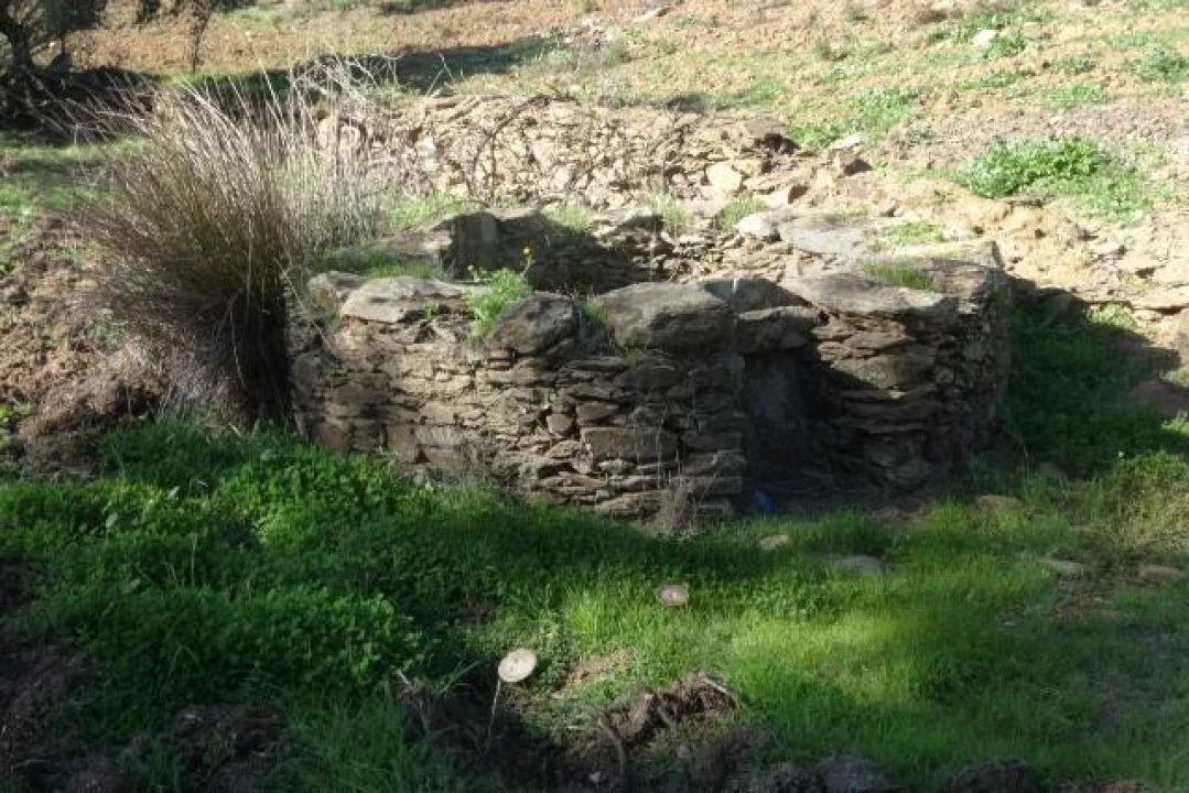 Terreno para Venda em Ourique Foto 14