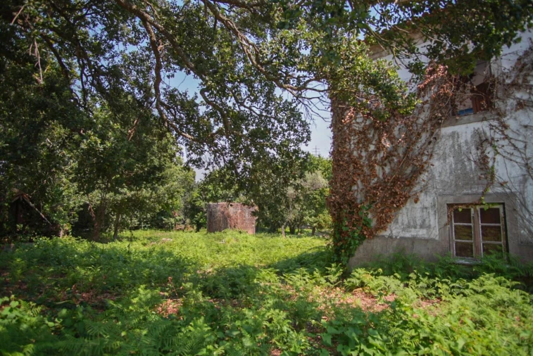 Moradia T3 para Venda em Ancora Foto 10