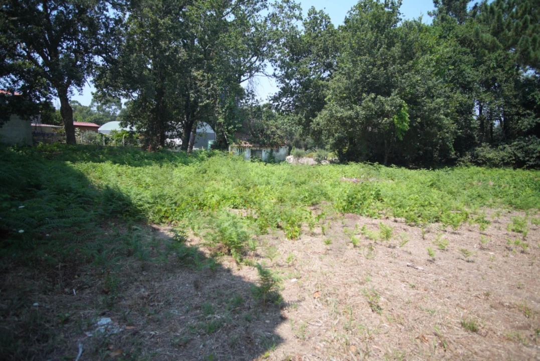 Moradia T3 para Venda em Ancora Foto 9