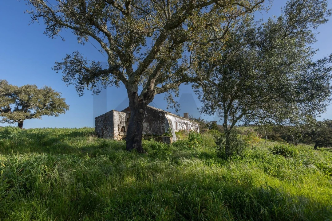 Quinta T5 para Venda em Cercal Foto 36