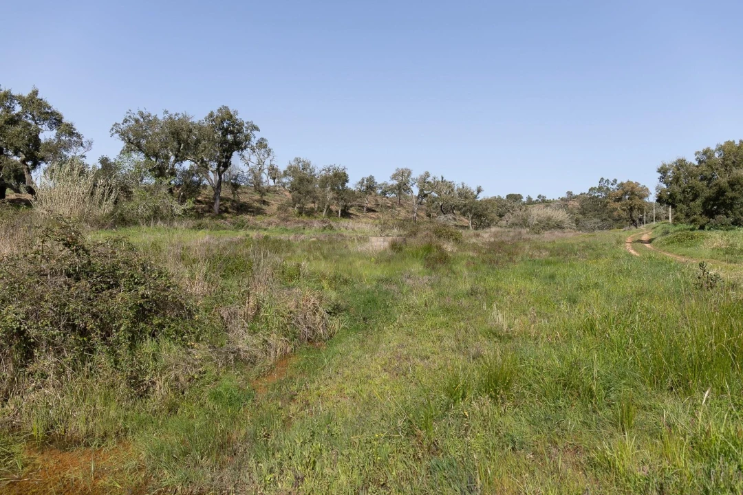 Quinta T5 para Venda em Cercal Foto 47