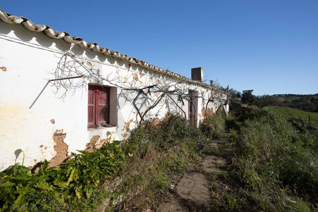 Quinta T5 para Venda em Cercal Foto 28