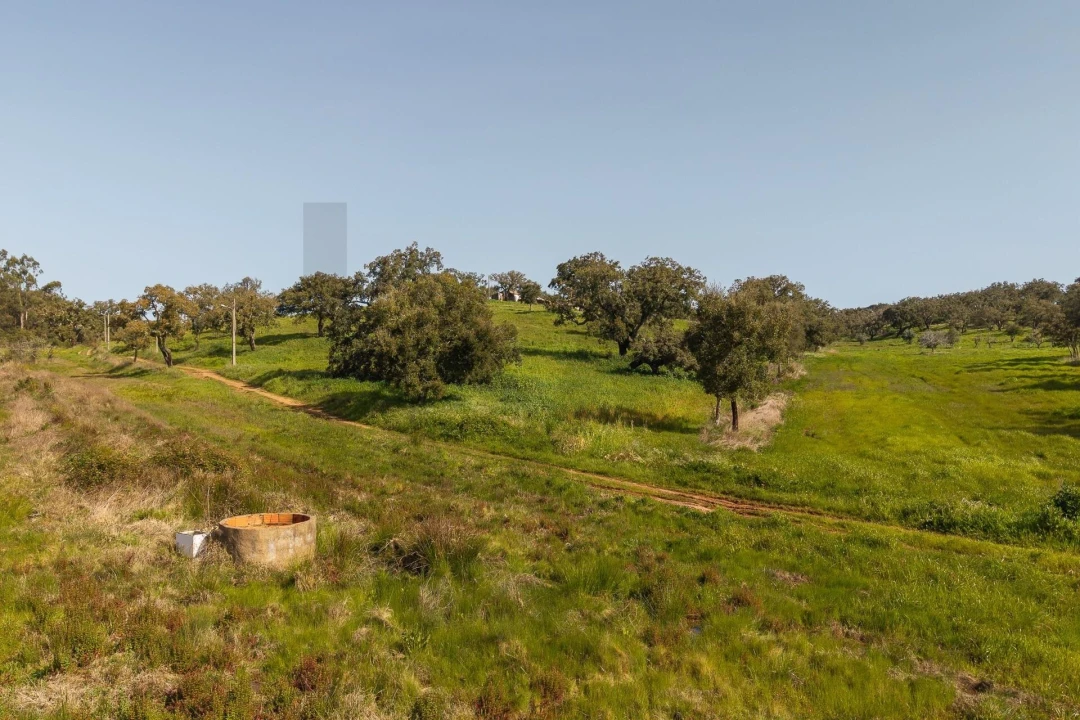 Quinta T5 para Venda em Cercal Foto 19