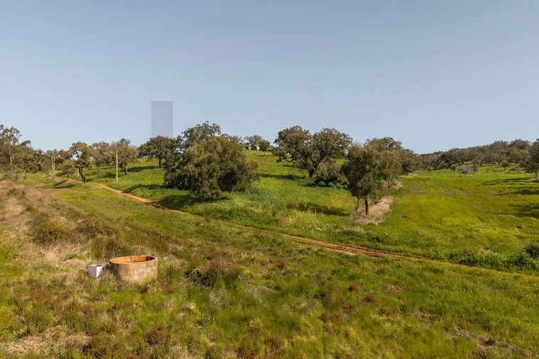 Quinta T5 para Venda em Cercal Foto 19