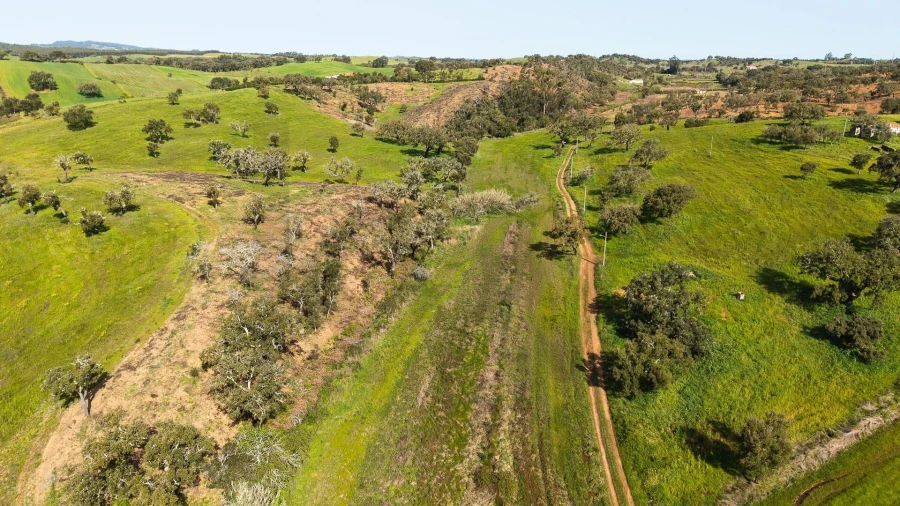Quinta T5 para Venda em Cercal Foto 10