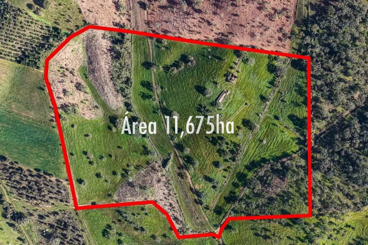 Quinta T5 para Venda em Cercal Foto 3