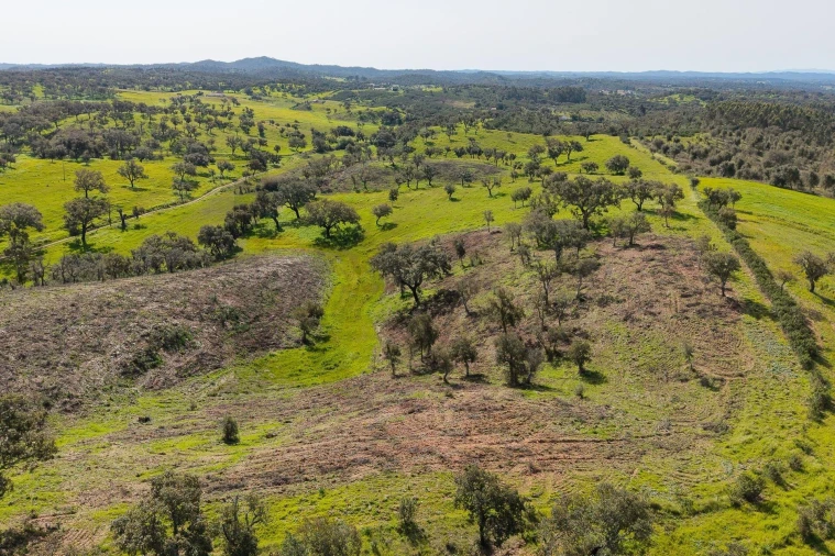 Quinta T5 para Venda em Cercal Foto 12