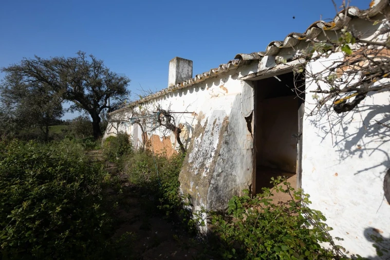 Quinta T5 para Venda em Cercal Foto 27