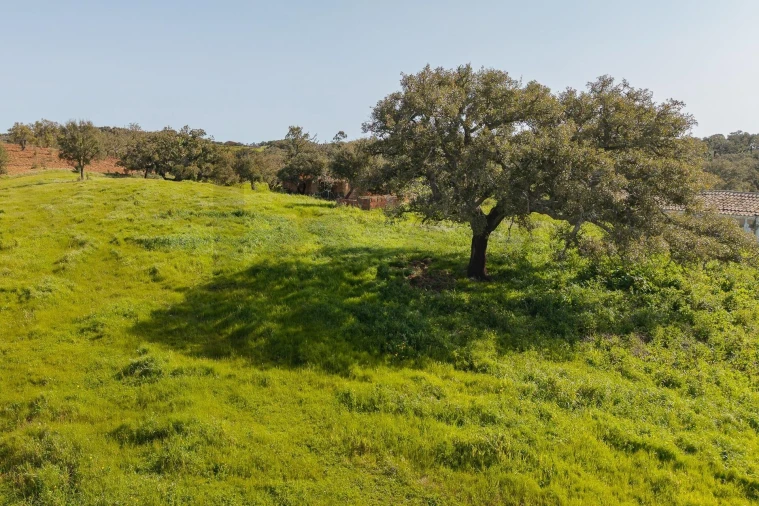 Quinta T5 para Venda em Cercal Foto 25