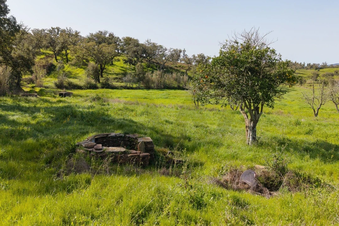Quinta T5 para Venda em Cercal Foto 16