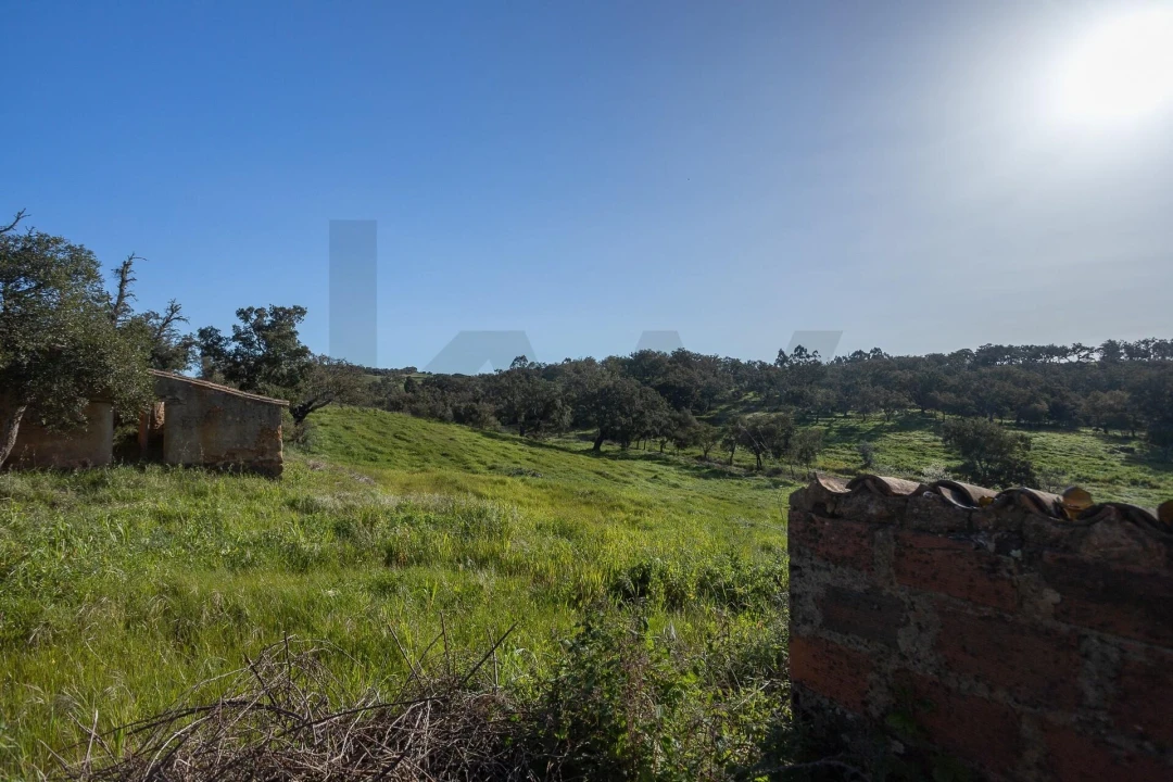 Quinta T5 para Venda em Cercal Foto 31