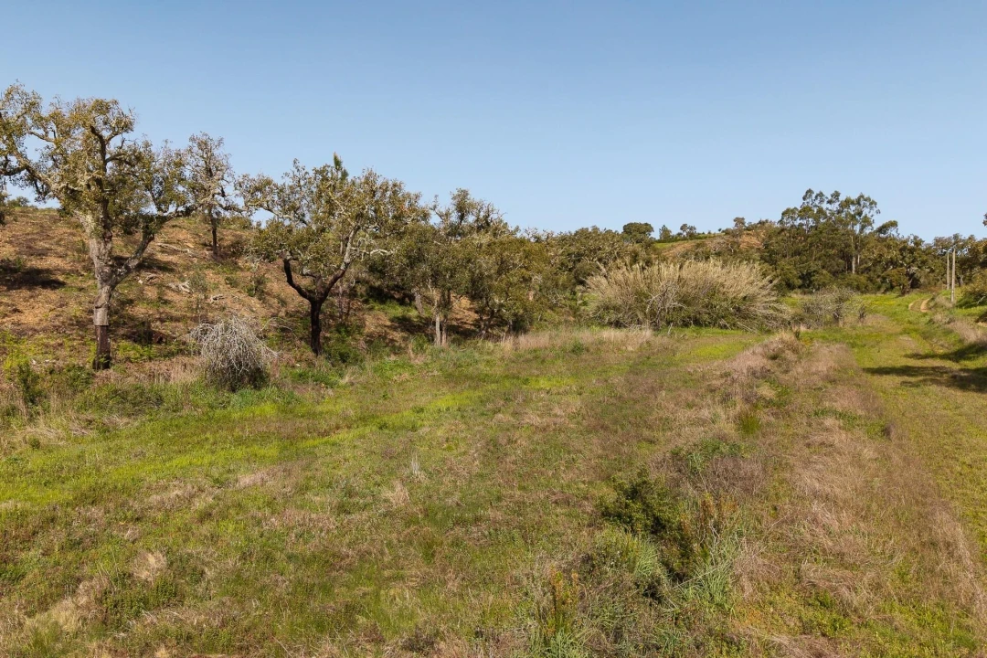 Quinta T5 para Venda em Cercal Foto 21