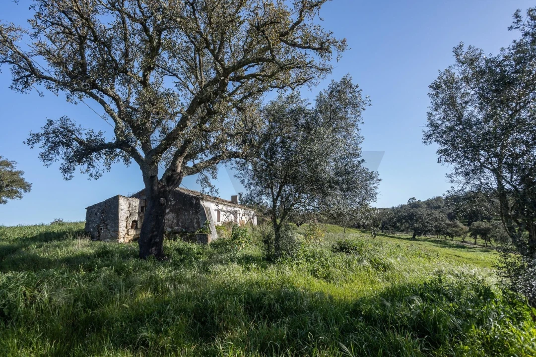 Quinta T5 para Venda em Cercal Foto 37