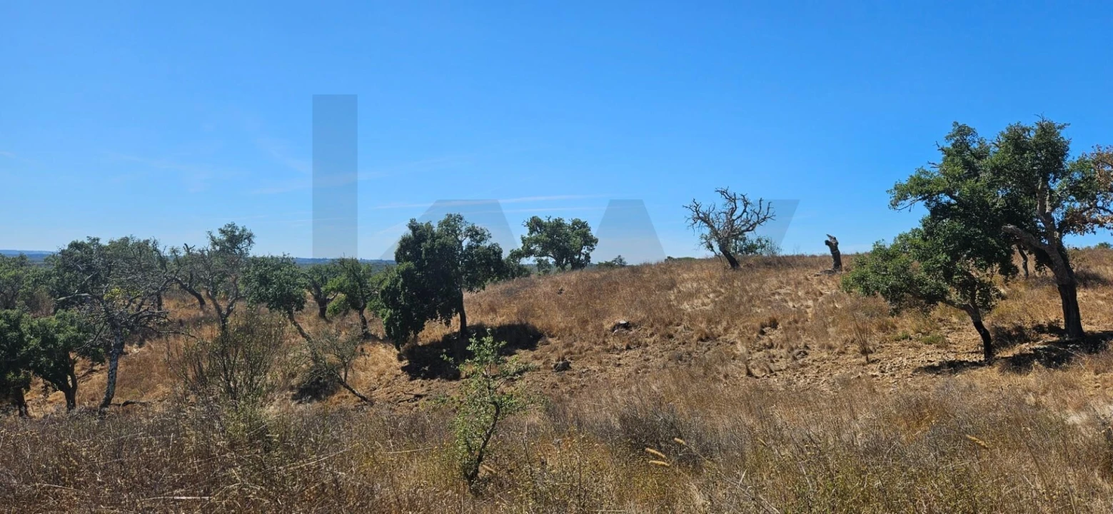 Terreno para Venda em São Francisco da Serra Foto 9