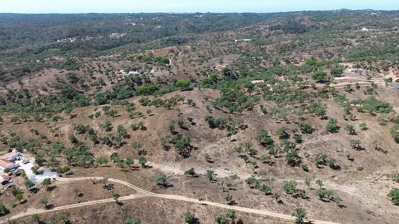 Terreno para Venda em São Francisco da Serra Foto 18