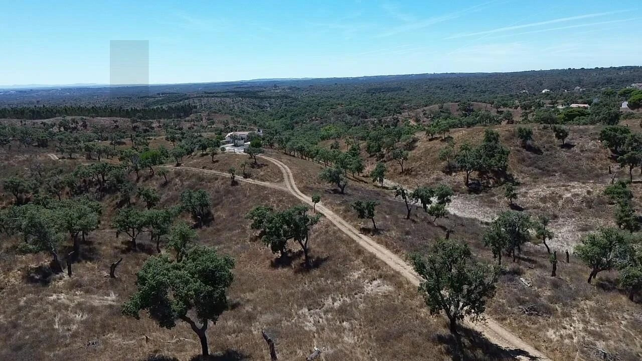 Terreno para Venda em São Francisco da Serra Foto 21